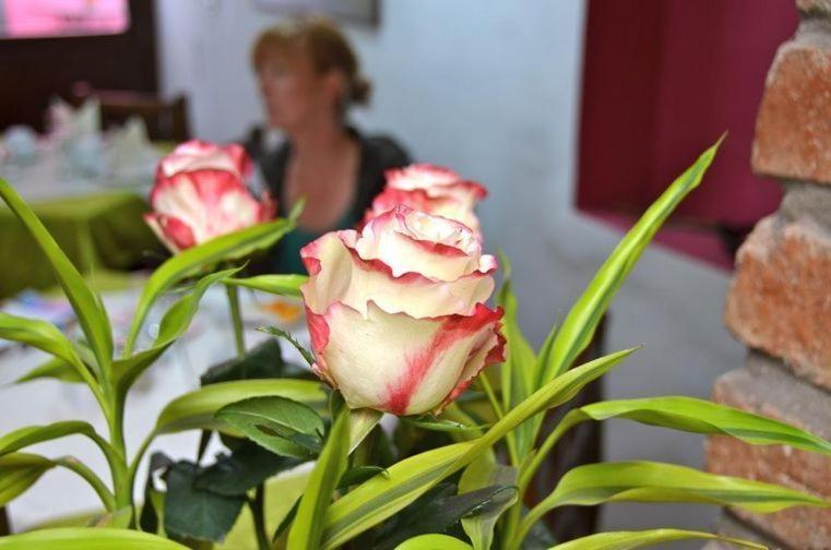 Casa De Las Rosas Cuenca Rom bilde